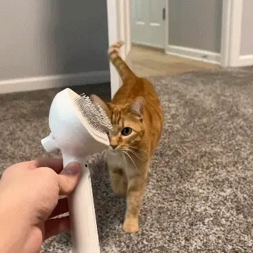 Magic Grooming Brush - Image 5
