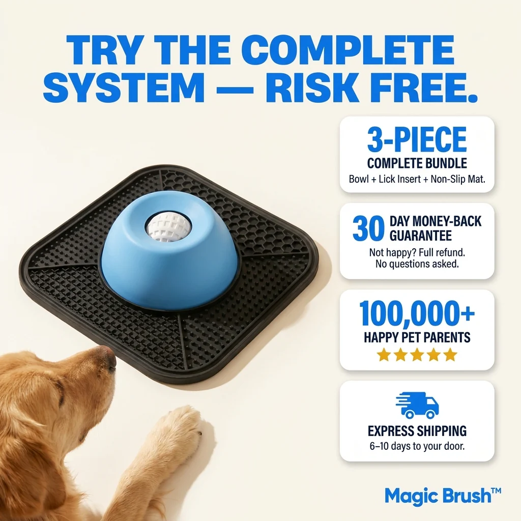 Spill-Proof Dog Bowl - Image 7